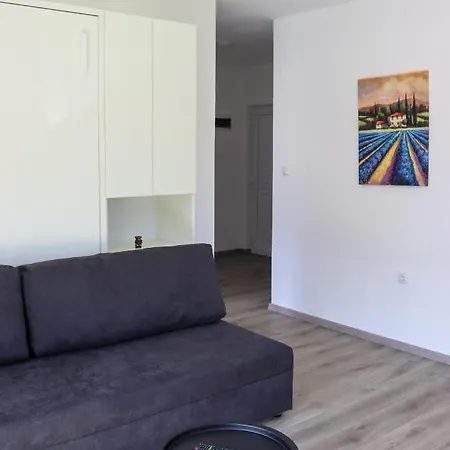 River Drina & Wellness *