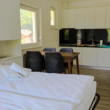 River Drina & Wellness דירה *